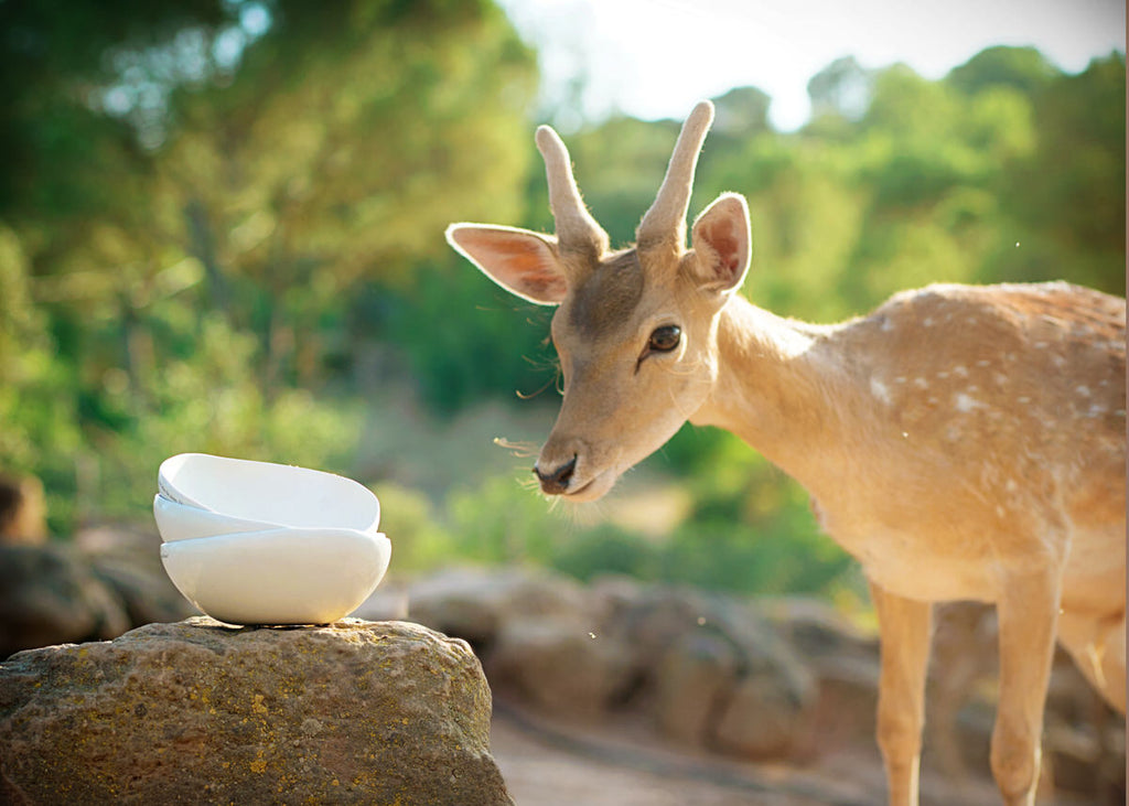 Mindfulness in handmade ceramics and photography