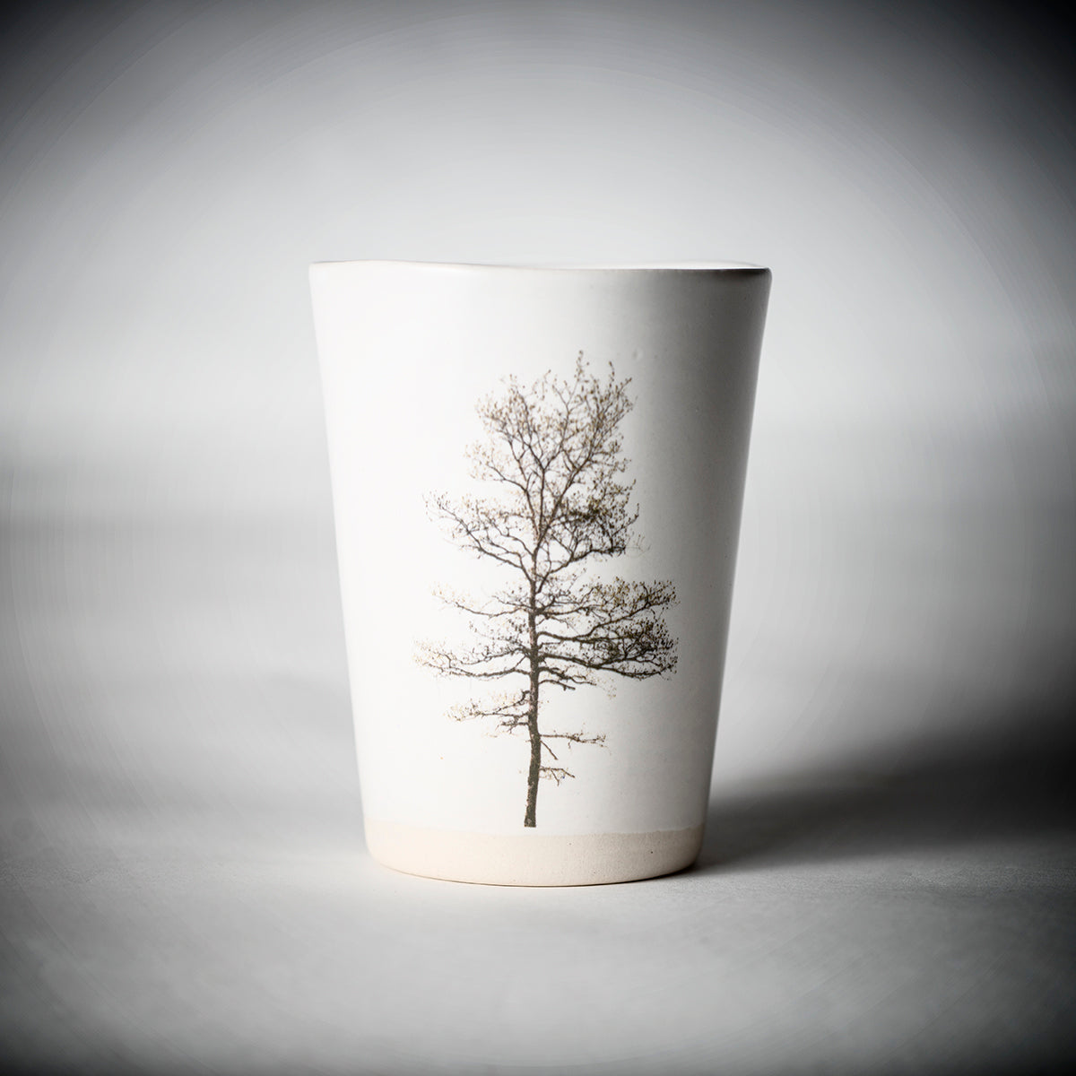 Set de vasos de árboles